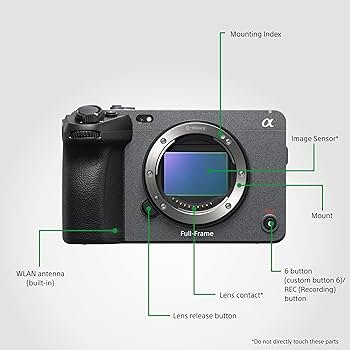 81pgLOvJ5iL._AC_UF350,350_QL80_