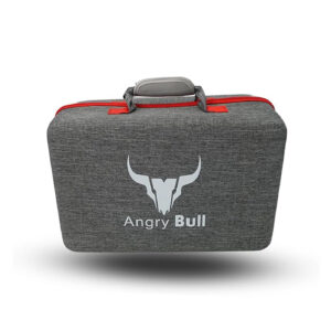 Ps5 Handy Travel Bag
